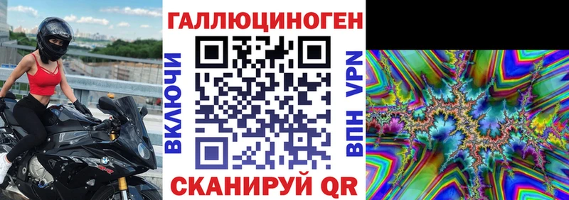 Галлюциногенные грибы Psilocybine cubensis  Балашов 