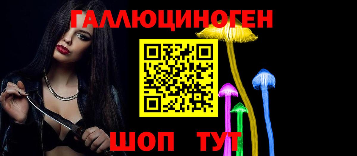 Галлюциногенные грибы Cubensis  Псилоцибиновые грибы GOLDEN TEACHER  Балашов  Вход с VPN 
