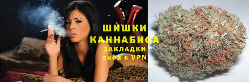 купить наркотик  Балашов  МАРИХУАНА White Widow 